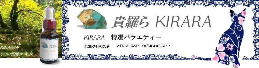 貴羅らフルボ