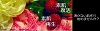 イオ Cosumetics