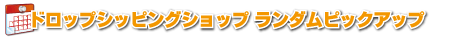 ドロップシッピングランダムピックアップ