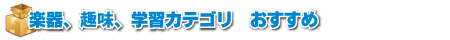 楽器趣味学習カテゴリおすすめ